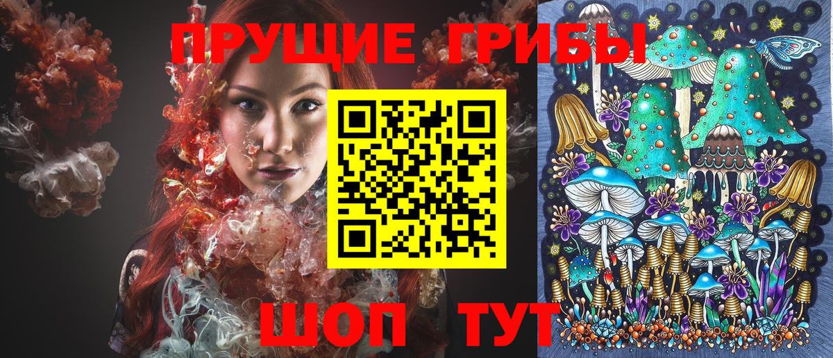 Сафоново  Галлюциногенные грибы Psilocybe  Вход с VPN 