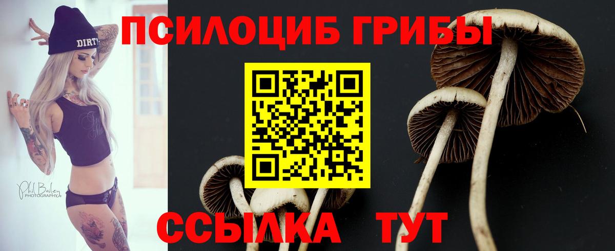 Мефедрон кристаллы  МДМА  Вход с VPN  ГАШ  APVP СОЛЬ кристаллы  ГАШ  Сафоново  Экстази  Вейп ТГК  КОКАИН  Cocaine 